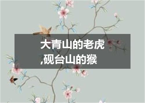 大青山的老虎,砚台山的猴