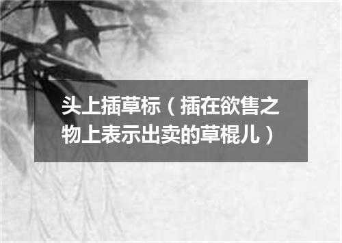 头上插草标（插在欲售之物上表示出卖的草棍儿）