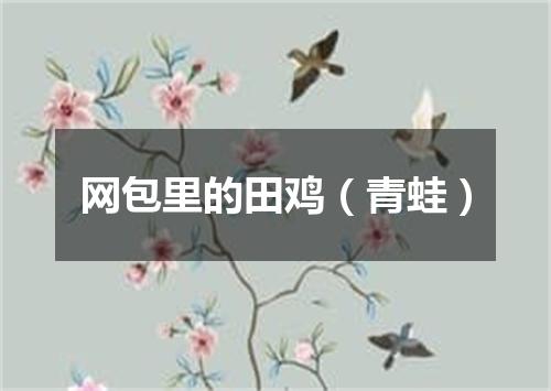 网包里的田鸡（青蛙）