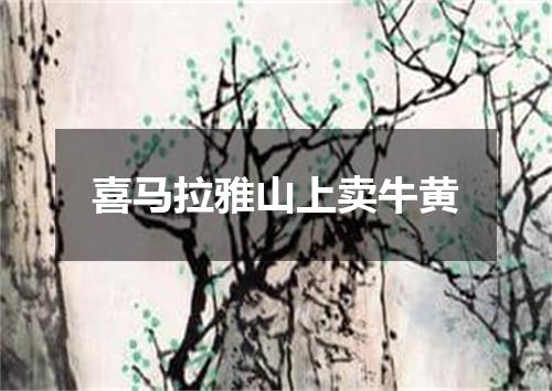 喜马拉雅山上卖牛黄