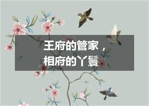 王府的管家，相府的丫鬟