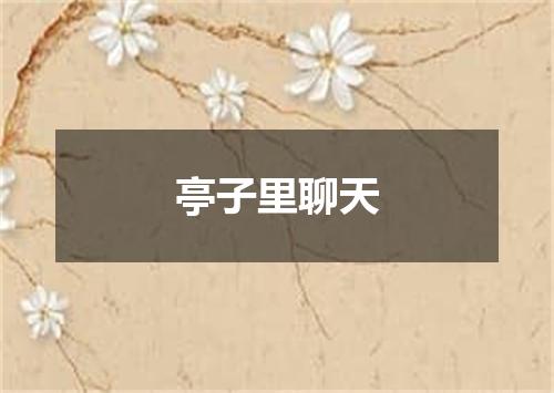 亭子里聊天