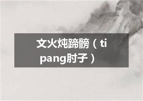 文火炖蹄髈（ti pang肘子）