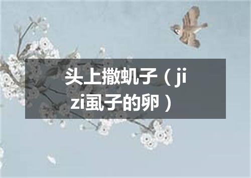 头上撒虮子（ji zi虱子的卵）