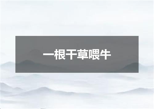一根干草喂牛