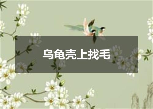 乌龟壳上找毛