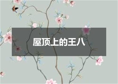 屋顶上的王八