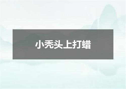 小秃头上打蜡