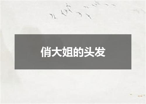 俏大姐的头发
