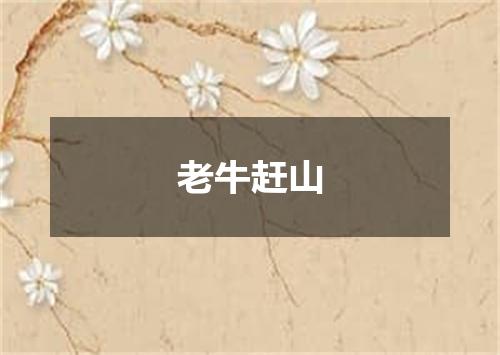 老牛赶山