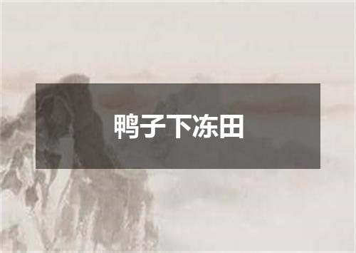 鸭子下冻田