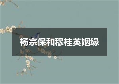 杨宗保和穆桂英姻缘