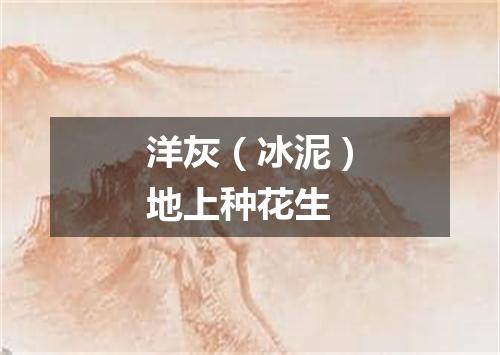 洋灰（冰泥）地上种花生