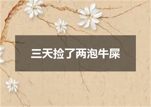 三天捡了两泡牛屎