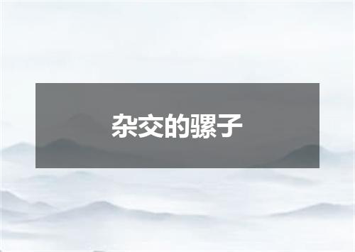 杂交的骡子