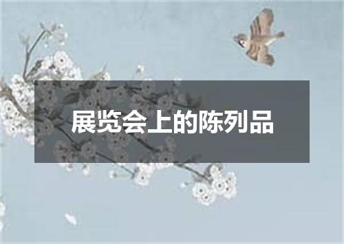 展览会上的陈列品