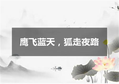 鹰飞蓝天，狐走夜路
