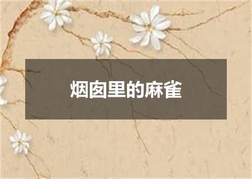 烟囱里的麻雀