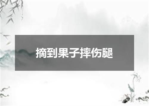 摘到果子摔伤腿