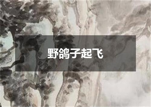 野鸽子起飞