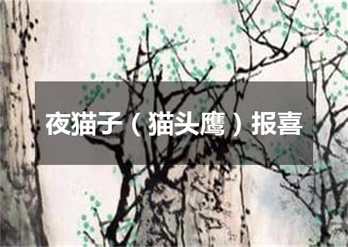 夜猫子（猫头鹰）报喜