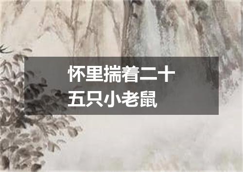 怀里揣着二十五只小老鼠
