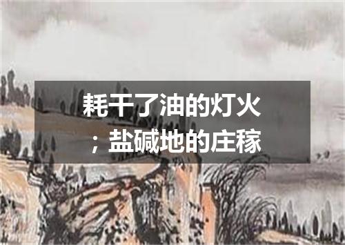 耗干了油的灯火；盐碱地的庄稼