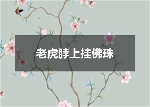 老虎脖上挂佛珠