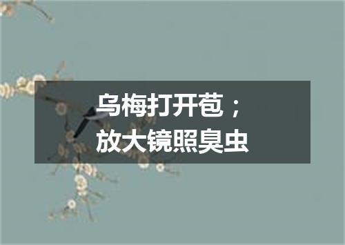 乌梅打开苞；放大镜照臭虫