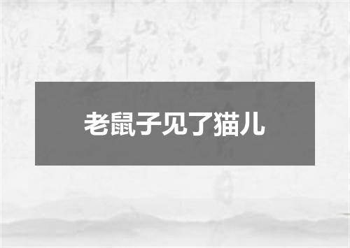 老鼠子见了猫儿