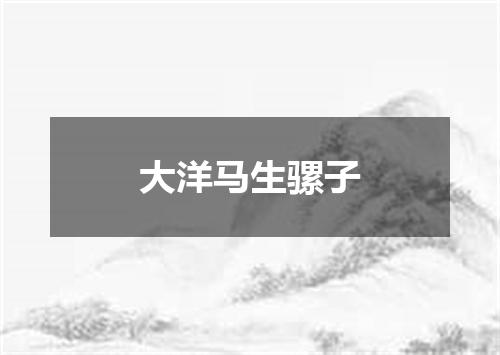 大洋马生骡子