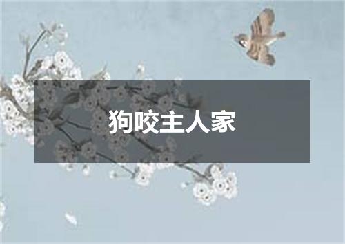 狗咬主人家