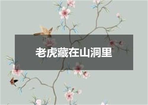 老虎藏在山洞里