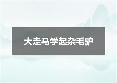 大走马学起杂毛驴