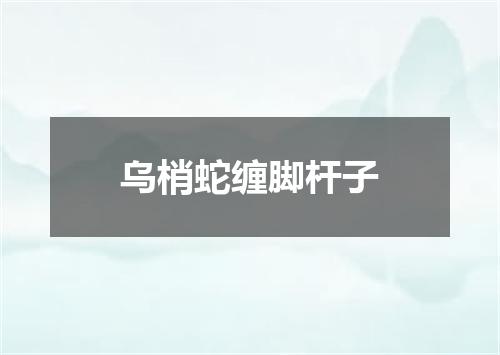 乌梢蛇缠脚杆子