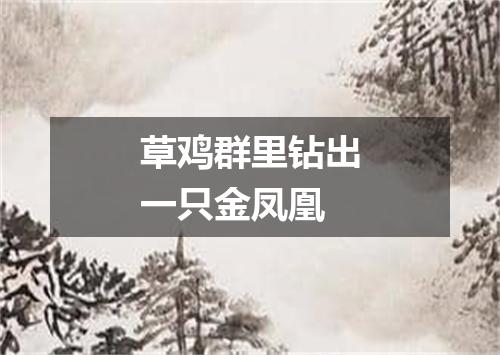 草鸡群里钻出一只金凤凰