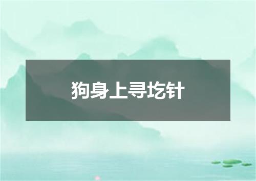 狗身上寻圪针