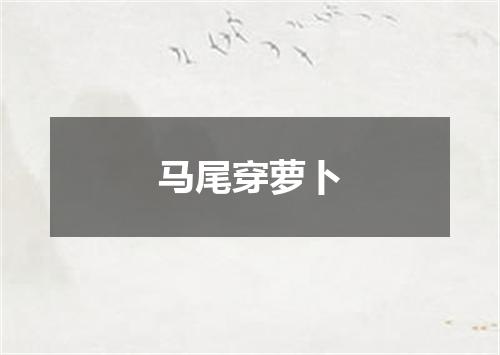 马尾穿萝卜