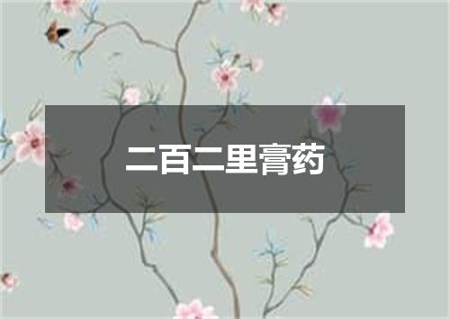 二百二里膏药