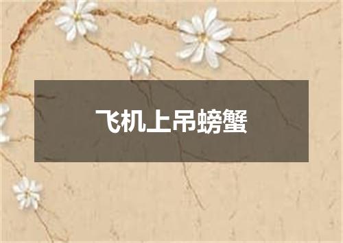 飞机上吊螃蟹
