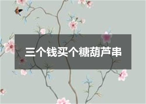 三个钱买个糖葫芦串