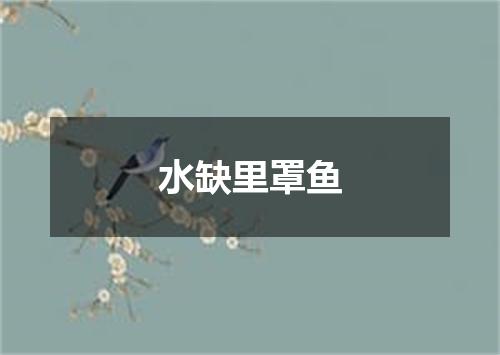 水缺里罩鱼