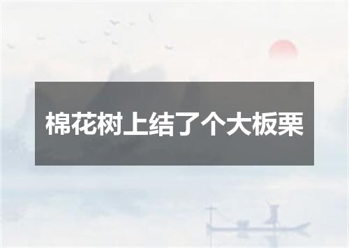 棉花树上结了个大板栗
