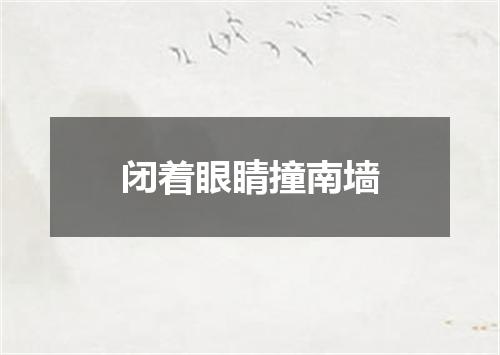 闭着眼睛撞南墙