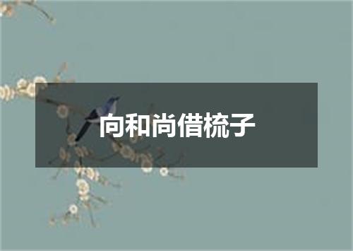 向和尚借梳子