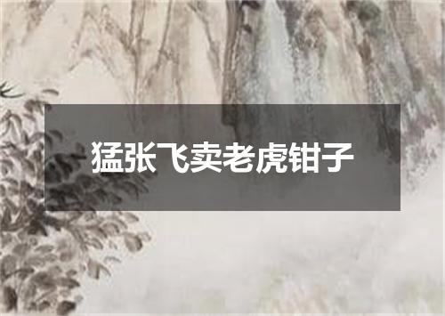 猛张飞卖老虎钳子