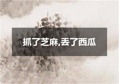 抓了芝麻,丢了西瓜