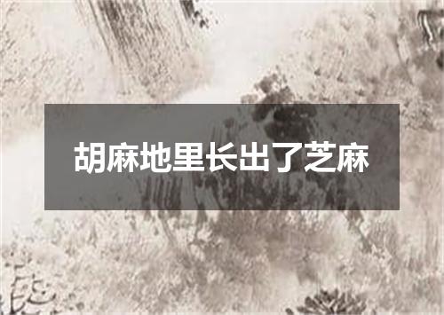 胡麻地里长出了芝麻