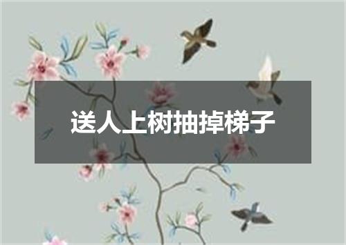 送人上树抽掉梯子