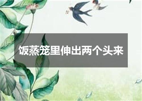 饭蒸笼里伸出两个头来
